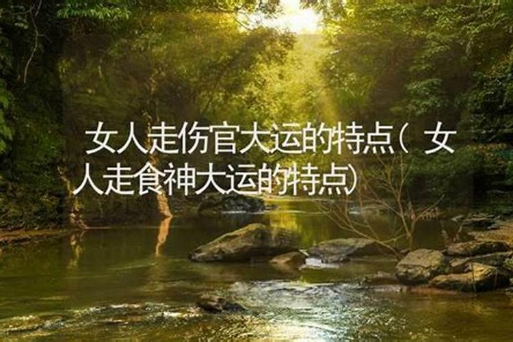 食神大运是什么意思
