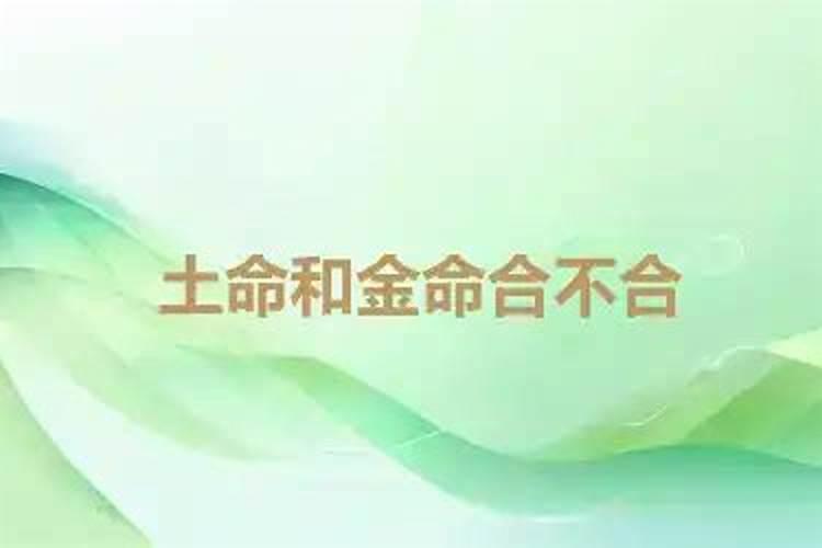 2025年立春是几月几日