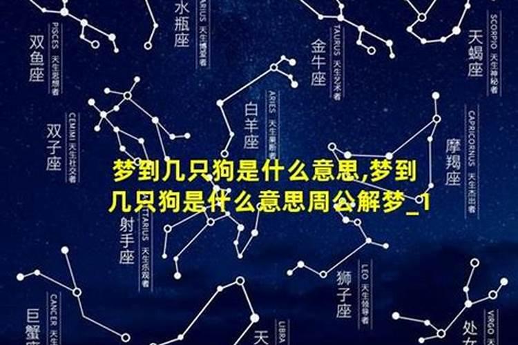 除夕不想回家的话,有哪些地方能够前往