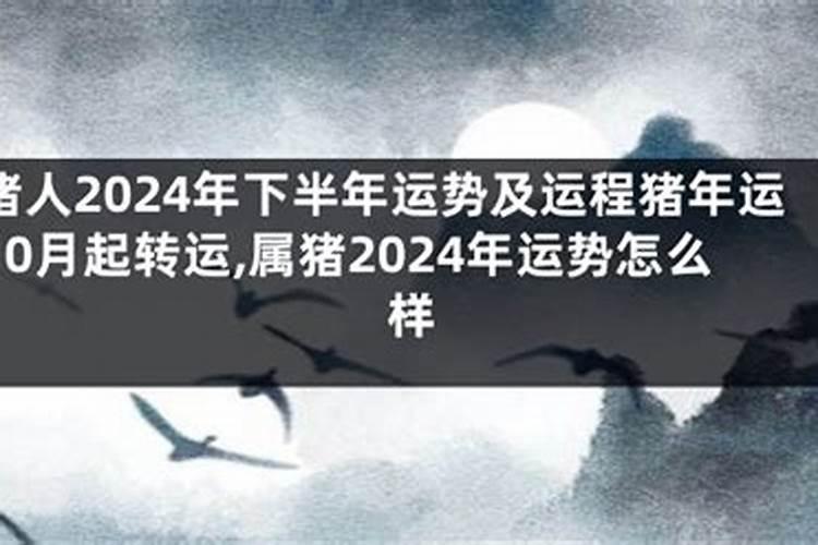太岁一般都生长在哪里 太岁长在什么地方