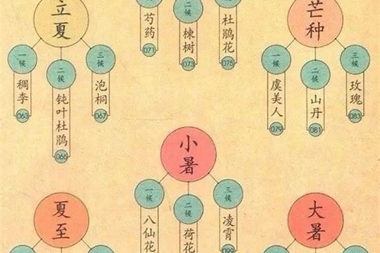 媳妇克自己老公的财运,咋破解