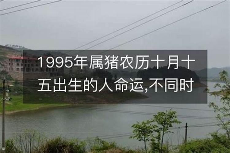 1968年农历10月15生女人的性格和命运？