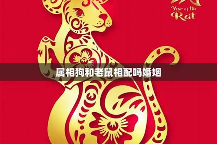 82年女狗2025农历年运势及运程每月运程