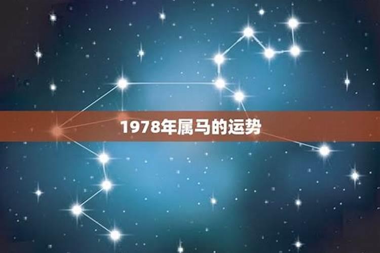 78属马2025的全年运势