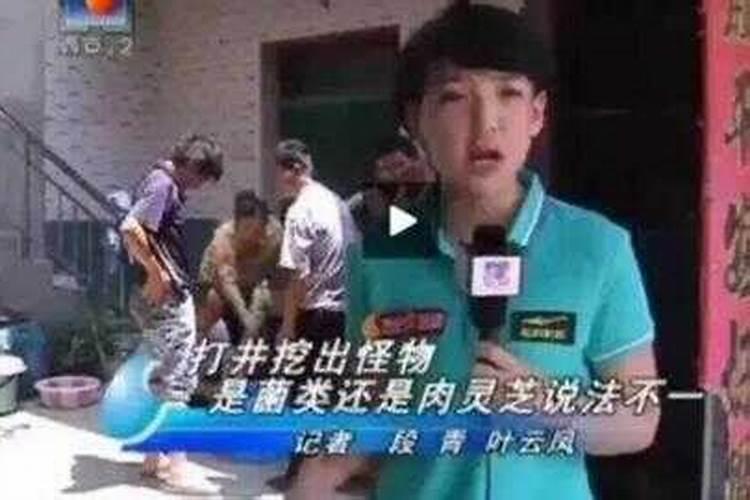 女记者太岁是什么梗