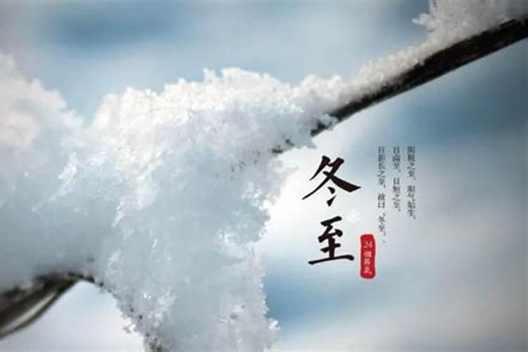 做梦梦见金蟾蜍是活的好不好
