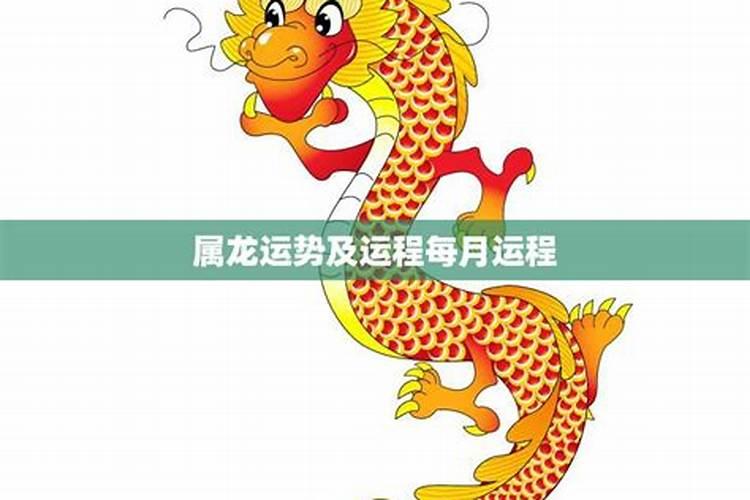 属龙人今年运势2025年每月运势