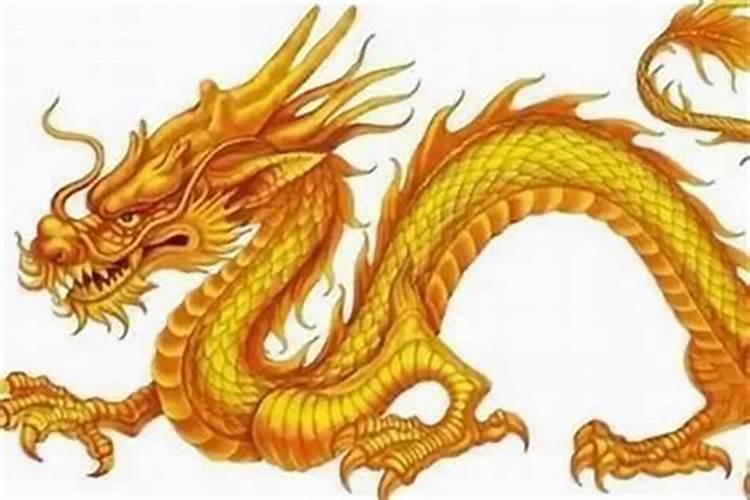2025属龙人的全年运势
