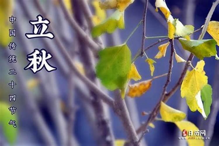 今年立秋是早立秋还是晚立秋