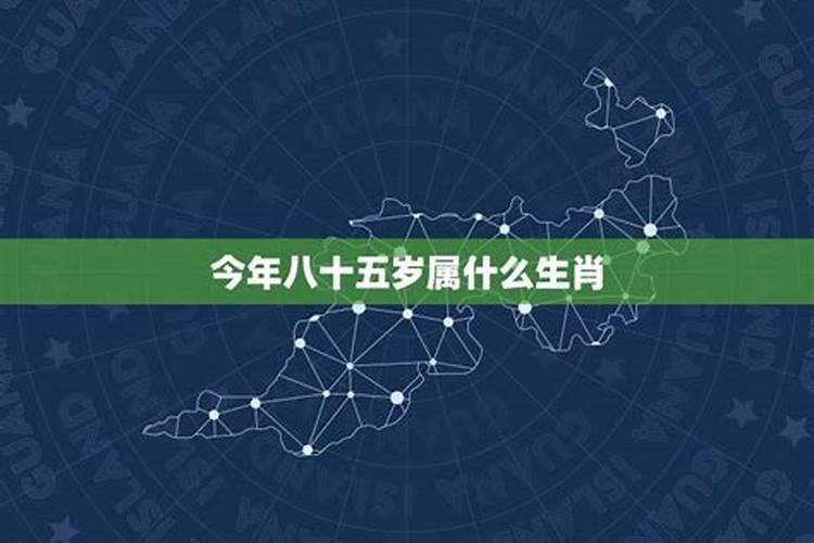 81年属鸡人在2025年的全年运势