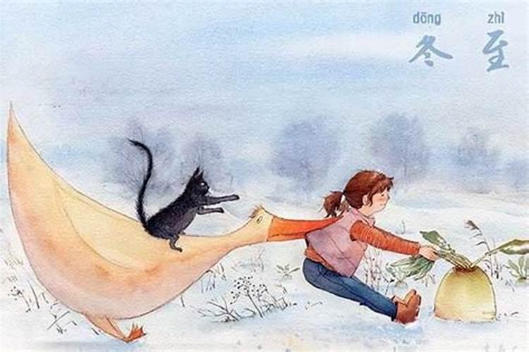 生肖狗2025年运势及运程如何