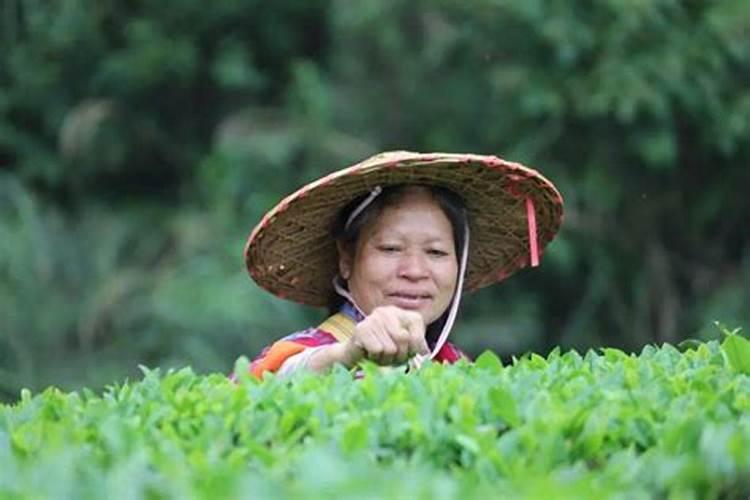 堕胎后应该念什么经超度孩子灵魂,为自己开运？