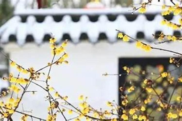 腊月有哪些习俗？