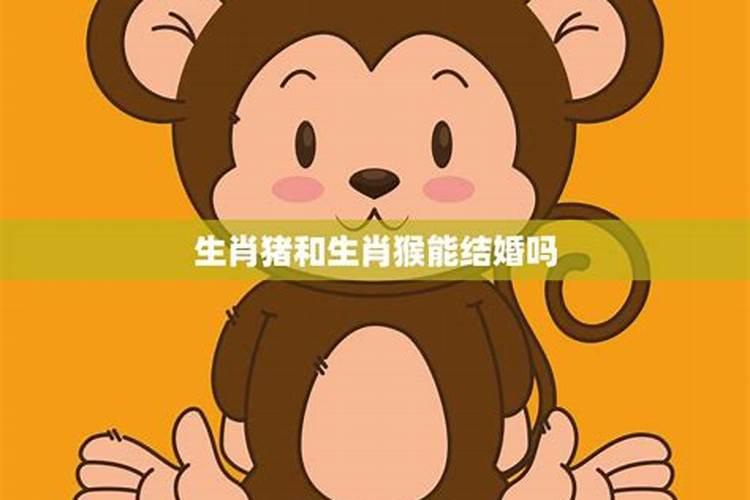 属蛇9月25曰生人的一生的运程