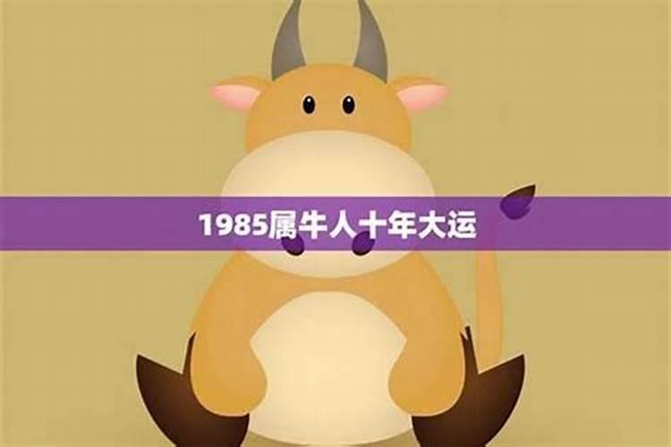 85年属牛 2025年整体运势
