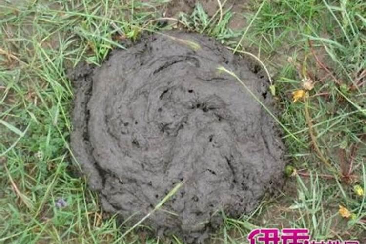 二零二四年正月十五(2024年2月24日)出生的男宝宝名字 叫什么名好听又吉...