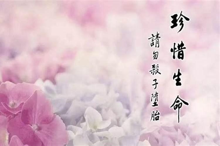 2025生肖兔的运势大全 属兔人2025年每月运势