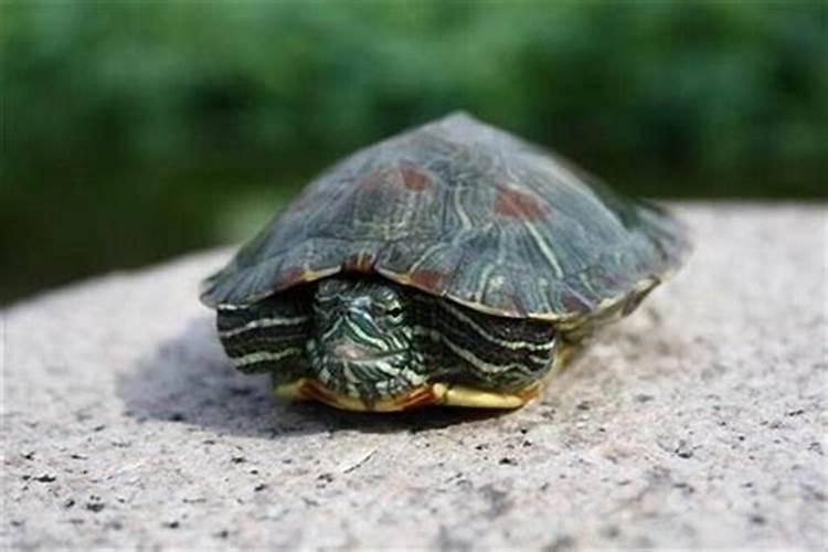 2019年4月几号装修日子开工好