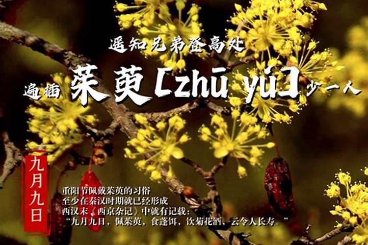 长久长寿的重阳节 广西各民族重阳的风俗