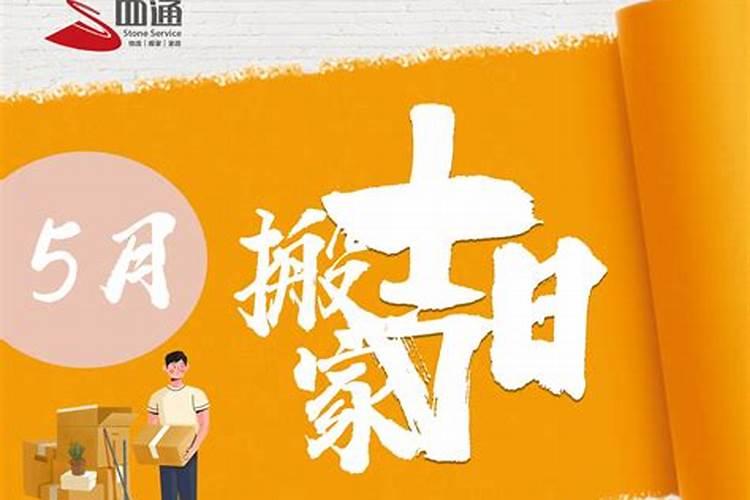 95年猪2025年运势