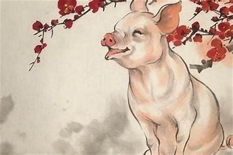 属猪和属猪合婚好不好两个属猪的人婚配好吗