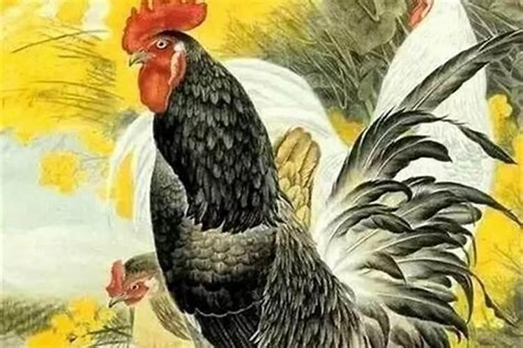 88年属龙女命几月生是富婆命,旺夫益子福气多