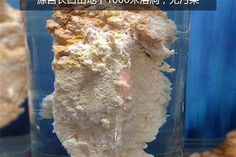 如何食用太岁