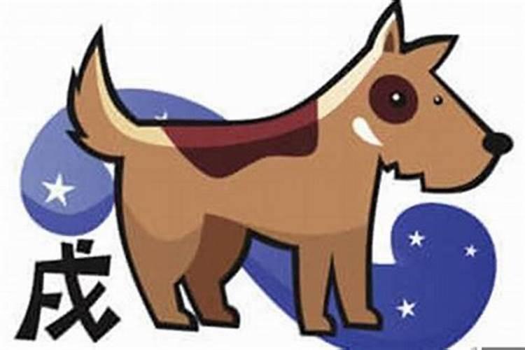 82年属狗何时走大运哪年财运好