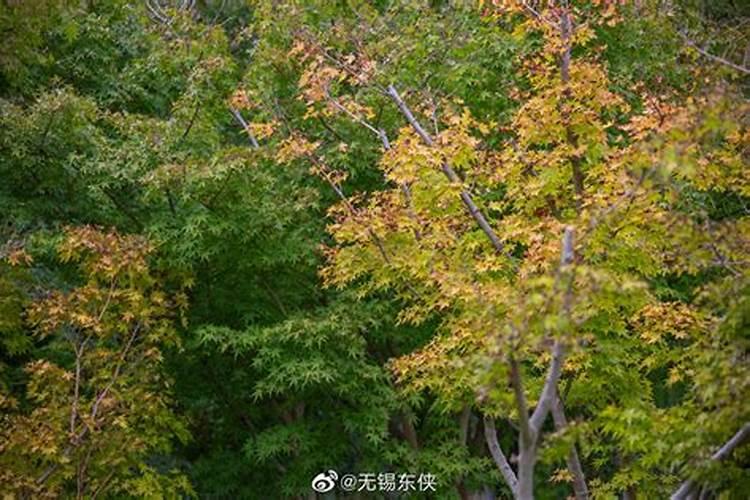 1970年8月23日出是什么星座？