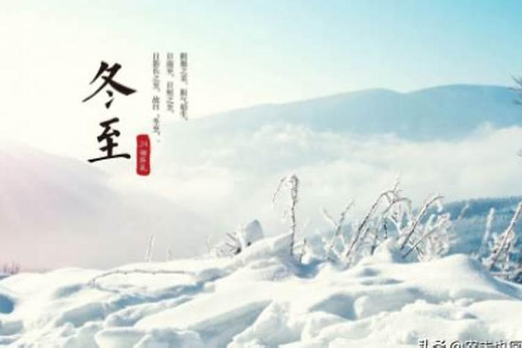 93鸡94狗婚配为大忌,这个说法正确吗？