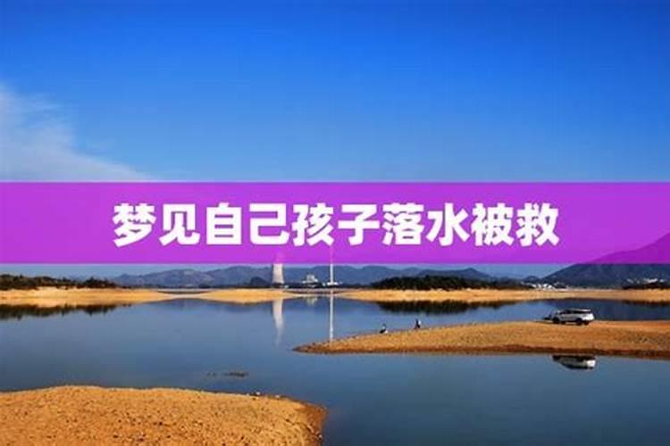 狮子座2025年运势怎么样