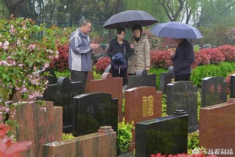 立春开什么生肖最旺