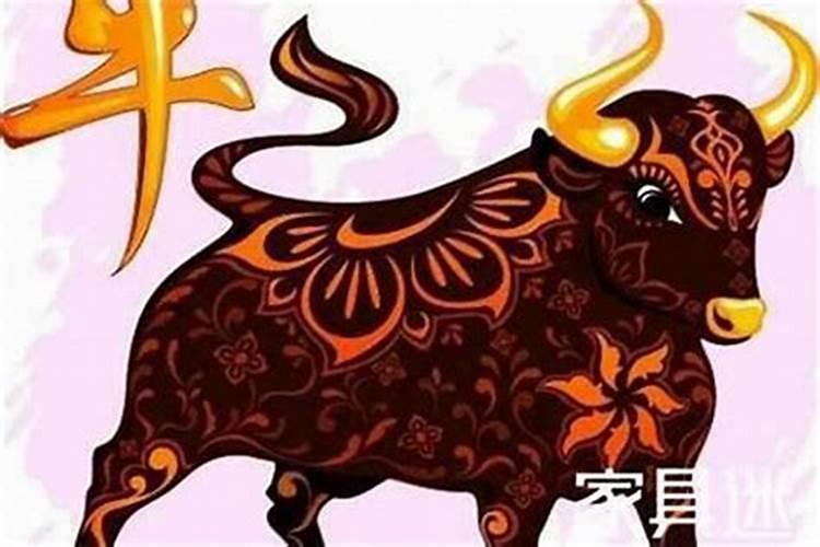 卯时出生的属牛人命运分析