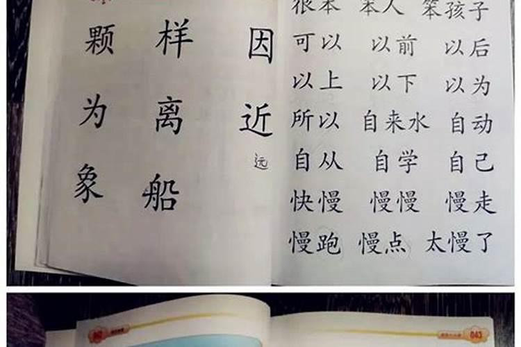 1982年出生的属狗人终身财运如何？