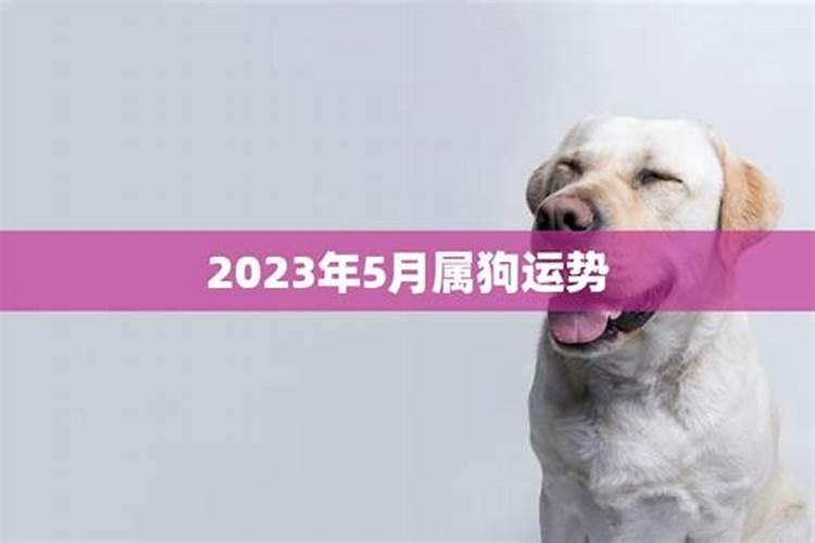 梦见别人求婚的征兆