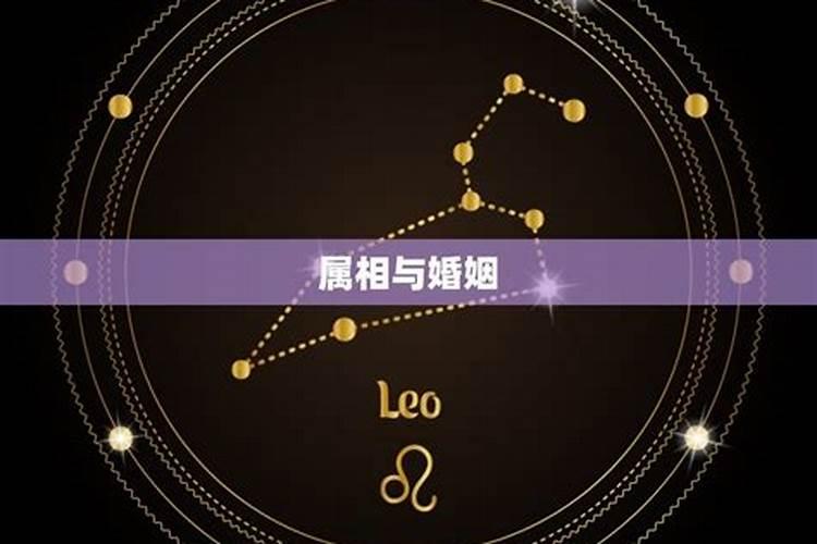 老公最近冷淡,算婚姻是该看八字还是星座？有老师推荐吗？