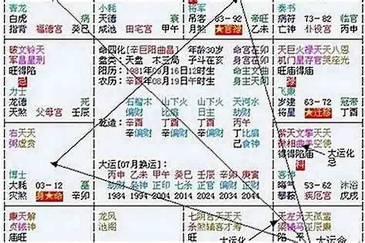 梦见马路上全是豪车