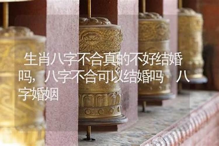 1987年属兔一生三大劫难属兔人遇牛年必有一破