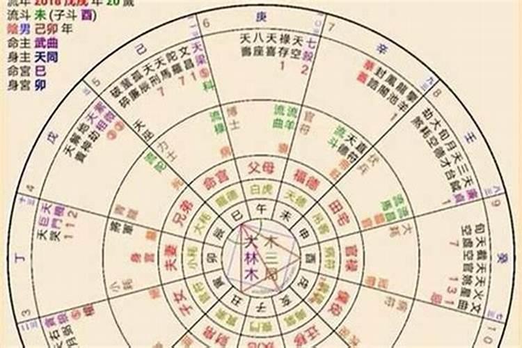 属猴和属虎合财吗