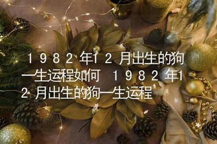 九月九日忆山东兄弟的意思