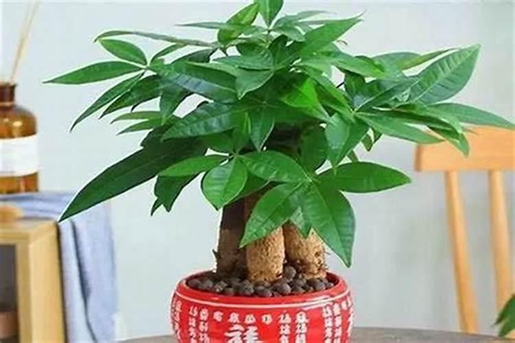 性格不合的婚姻还要继续吗太难了走出离婚一步