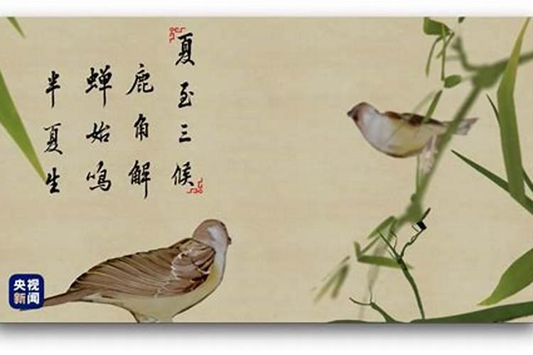 2023年冬至唯美句子八个字