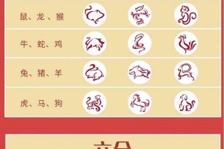 蛇本命年戴三合好还是6合好