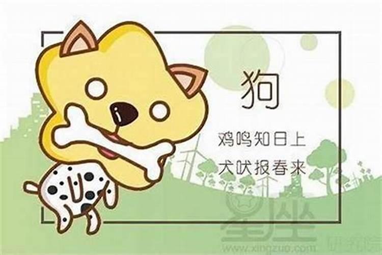 免费算婚姻:属蛇男与属狗女的婚姻好吗 八字合财吗