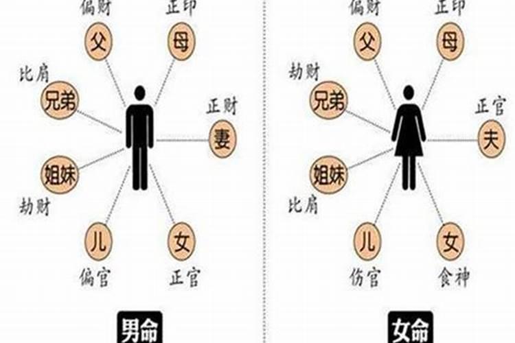 算命中的比肩是什么意思