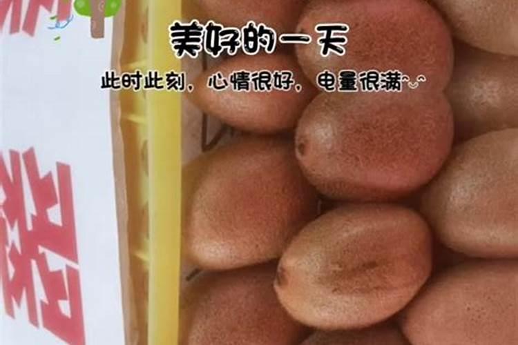 2025年什么属相犯太岁怎么破解