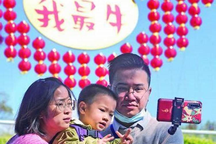 鼠年犯太岁的属相 属鼠犯太岁化解方法