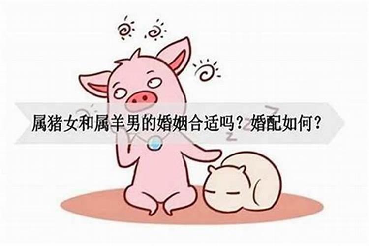 男女都是属猪结婚好吗 男女都属猪适合结婚吗