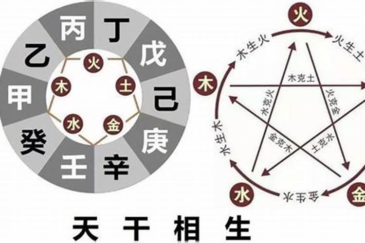 戊申与壬子女婚配是否好,已己丙子壬子戊申女的