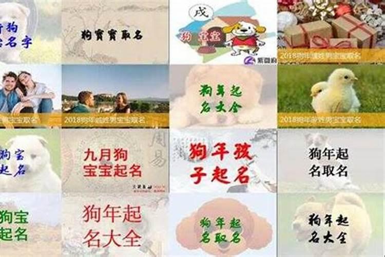 一九九二年正月初五出生是什么星座